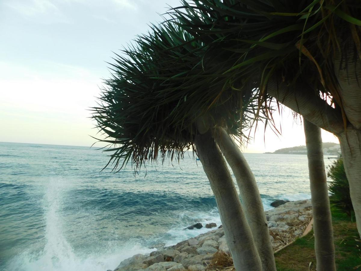 Chinasol Tropical Almunecar Exterior foto